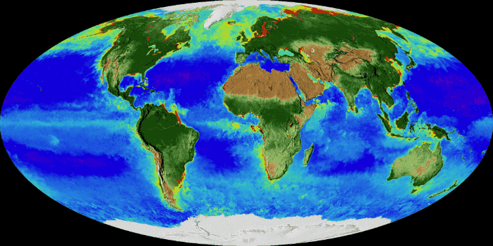 Schimbările climatice au modificat semnificativ culoarea oceanelor în ultimele două decenii