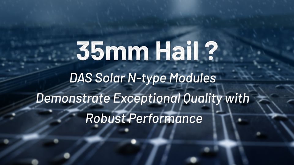 Modulul DAS Solar de tip N are performanțe excelente în testarea PVEL PQP