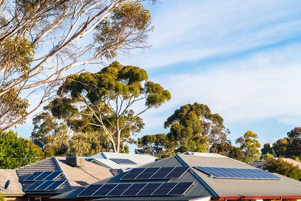 Trina Solar, a anunțat că primul PV Vertex S+ 505W a ieșit de pe linia de producție din fabrica