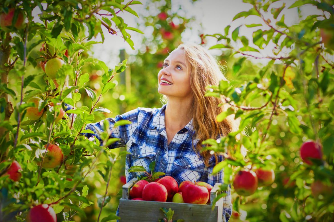 Produsele ECO & BIO