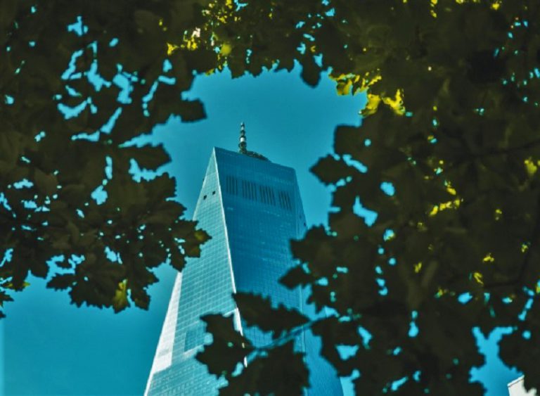 TASS2024, N-EXPO și GWPE