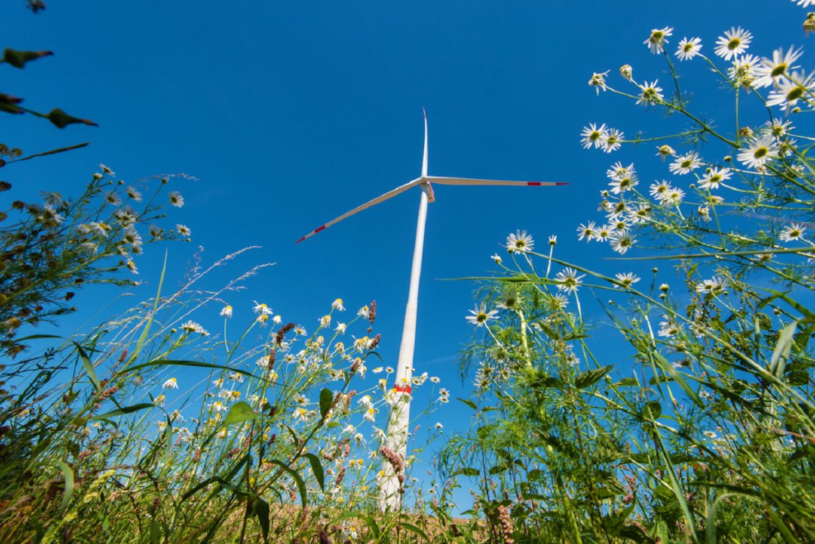 Vestas a primit o comandă de 124 MW pentru un proiect de energie eoliană în Telsiai, Lituania