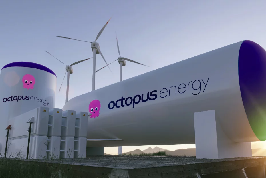 Octopus Energy Optimizează Gestionarea Conținutului cu Storyblok CMS