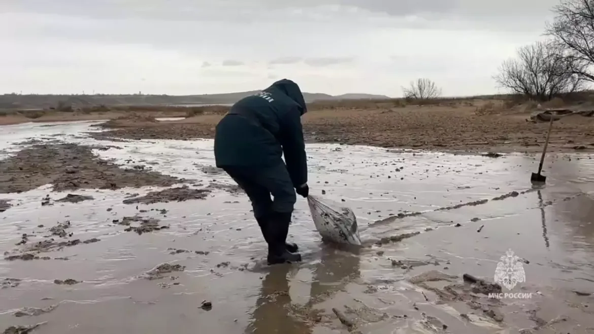 35 de kilometri din litoralul rus al Mării Negre , înghițiți de poluare după naufragiul a două petroliere