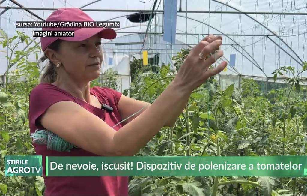Tehnici Eficiente de Grădinărit Ecologic pentru o Agricultură Sustenabilă