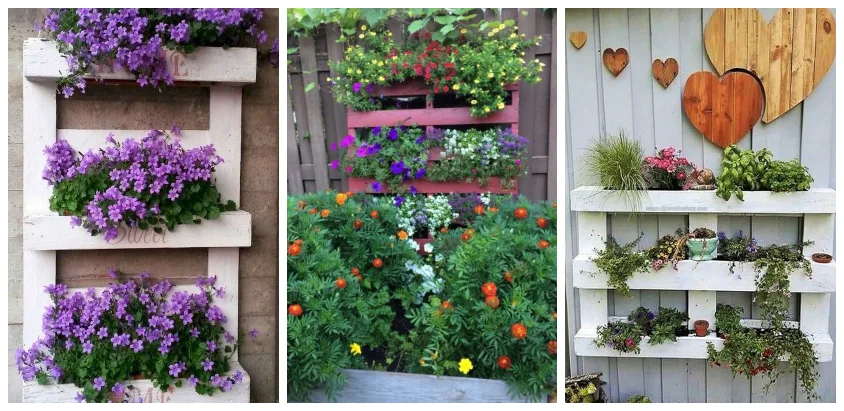 DIY ECO & BIO