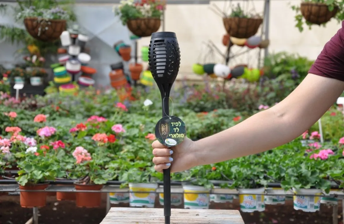Proiecte DIY pentru o Casă Verde – Sustenabilitate și Eficiență Energetică