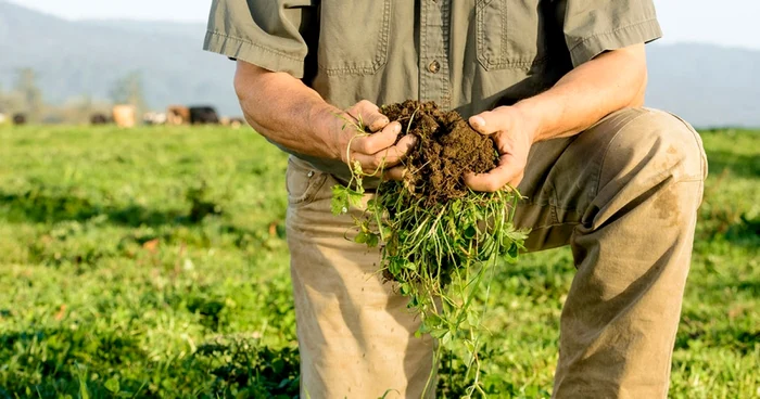 Agricultura regenerativă în România: o oportunitate pentru fermieri