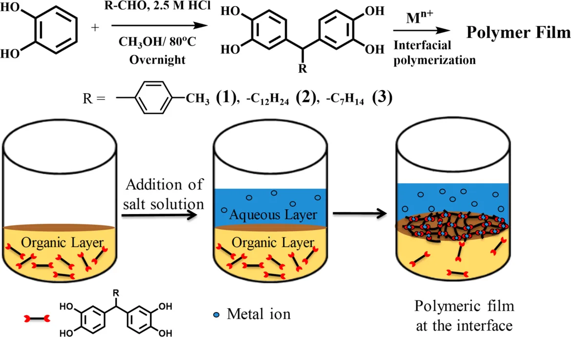 BASF Lansează Primul Polyethersulfone (PESU) Biomass-Balanced din Lume