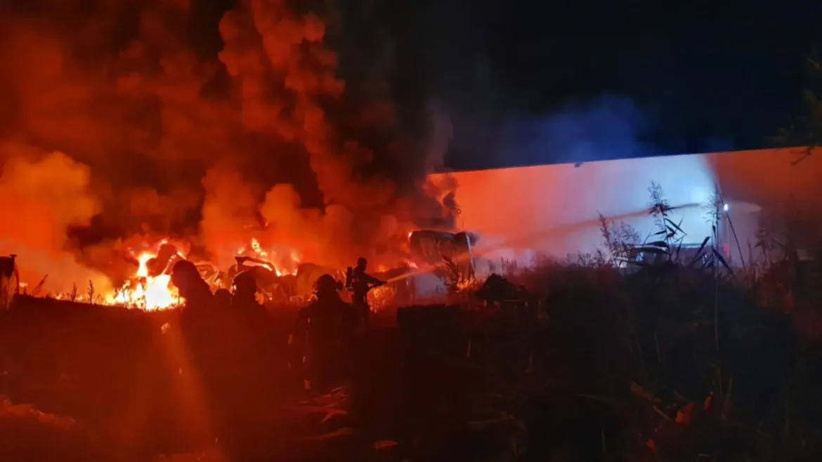 Incendiul de la depozitul Antefrig București și implicațiile chimice asupra mediului : Analiză tehnică